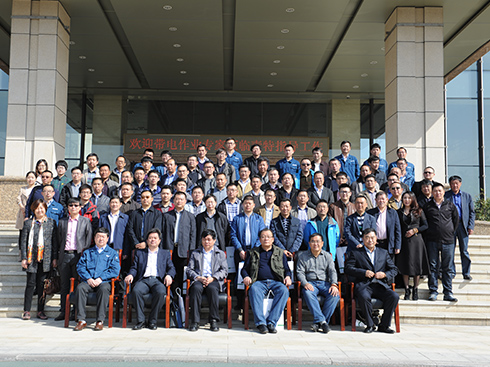 凤凰同盟平台注册·(唯一)官方网站